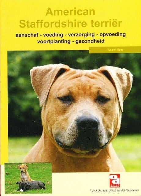 (d29) American Staffordshire Terrier, Verzenden, Gelezen