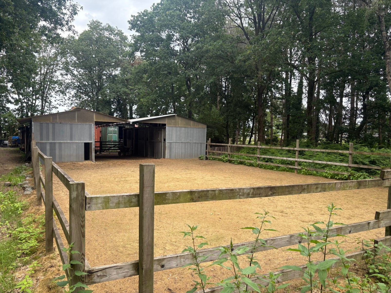 Paardenstallen, 4 chevaux ou poneys ou plus