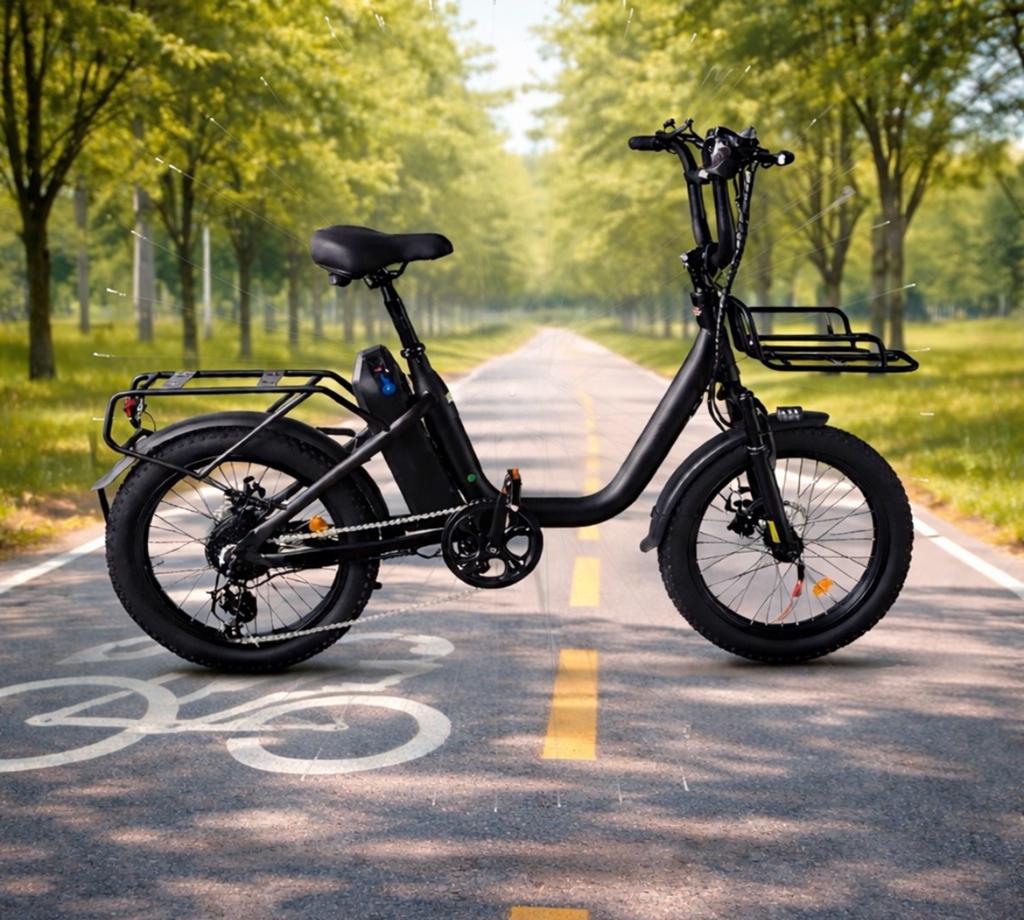 Velo cargo  electrique  VTT, Neuf, Autres marques, Vitesses, Enlèvement ou Envoi
