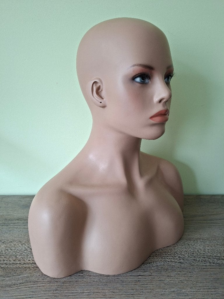 Tête de mannequin pour perruques ou bijoux, Articles professionnels, Enlèvement ou Envoi