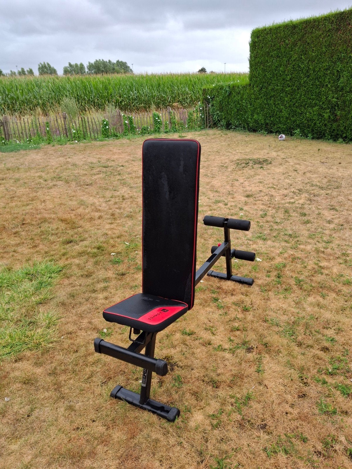 Banc de musculation Domyos, Sports & Fitness, Équipement de fitness, Enlèvement