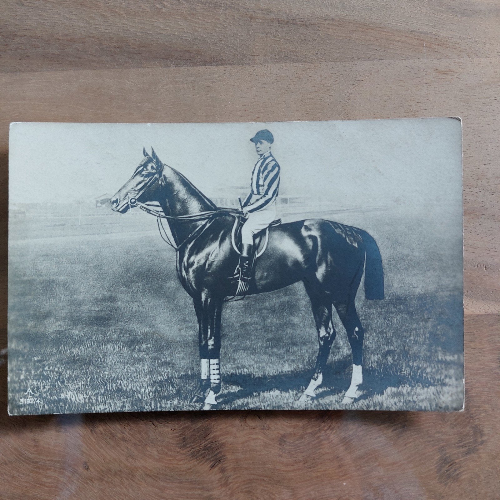 Oude postkaart : renpaard, Collections, Enlèvement ou Envoi