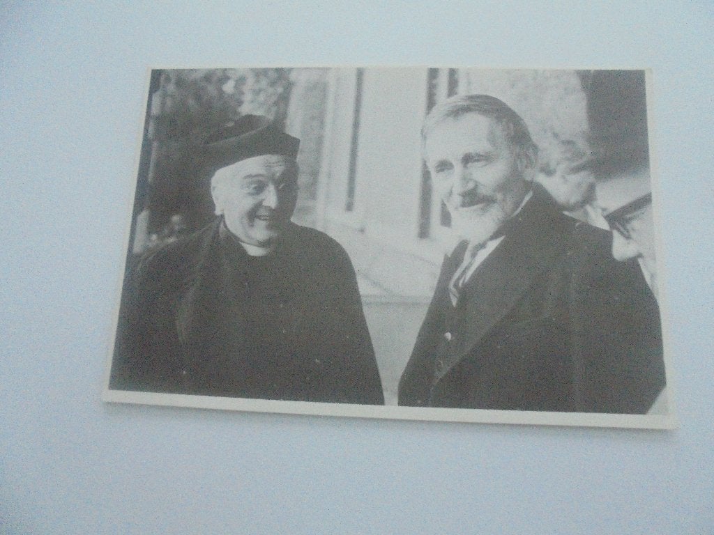wij, heren van zichem-10 postkaarten, Verzamelen, Ophalen of Verzenden, 1940 tot 1960, Ongelopen, Overige thema's