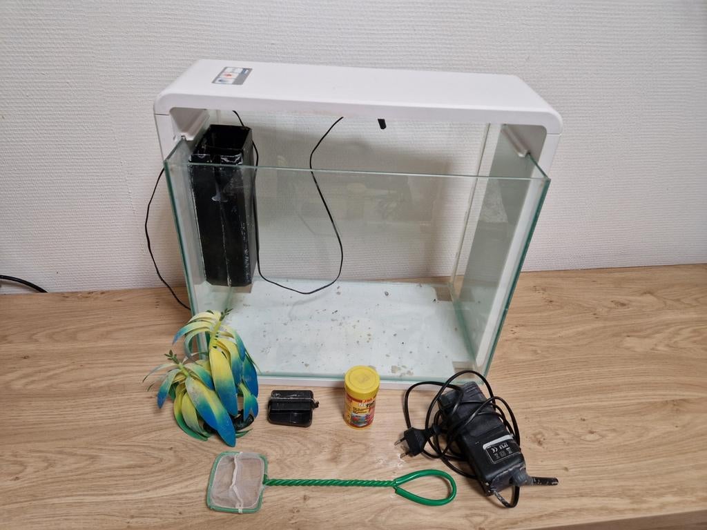 Superfish in het aquarium, Dieren en Toebehoren, Superfish