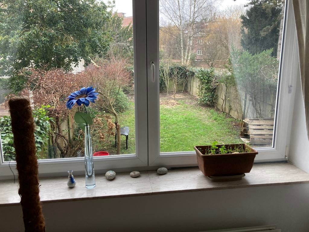 Chambre en location, 20 tot 35 m², Brussel