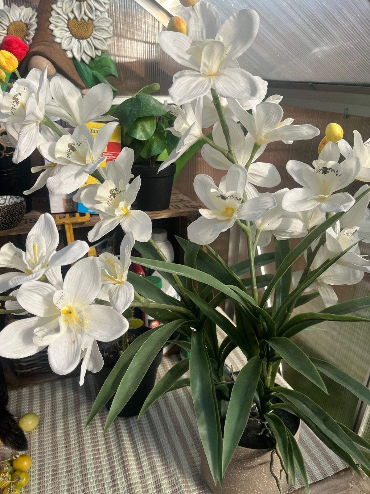 Zijde  orchidee, Zijde, Ophalen, Zo goed als nieuw