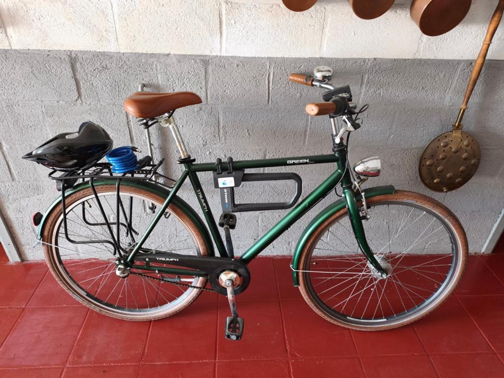 Vélos homme Triumph neuf, Ophalen of Verzenden, Versnellingen