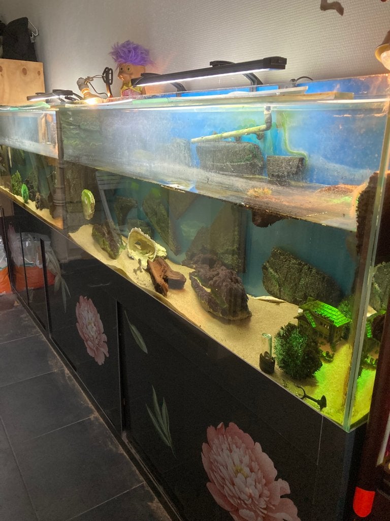 Aquarium 3m op kast met toebehoren, Ophalen, Gebruikt, Aquariummeubel, Overige merken