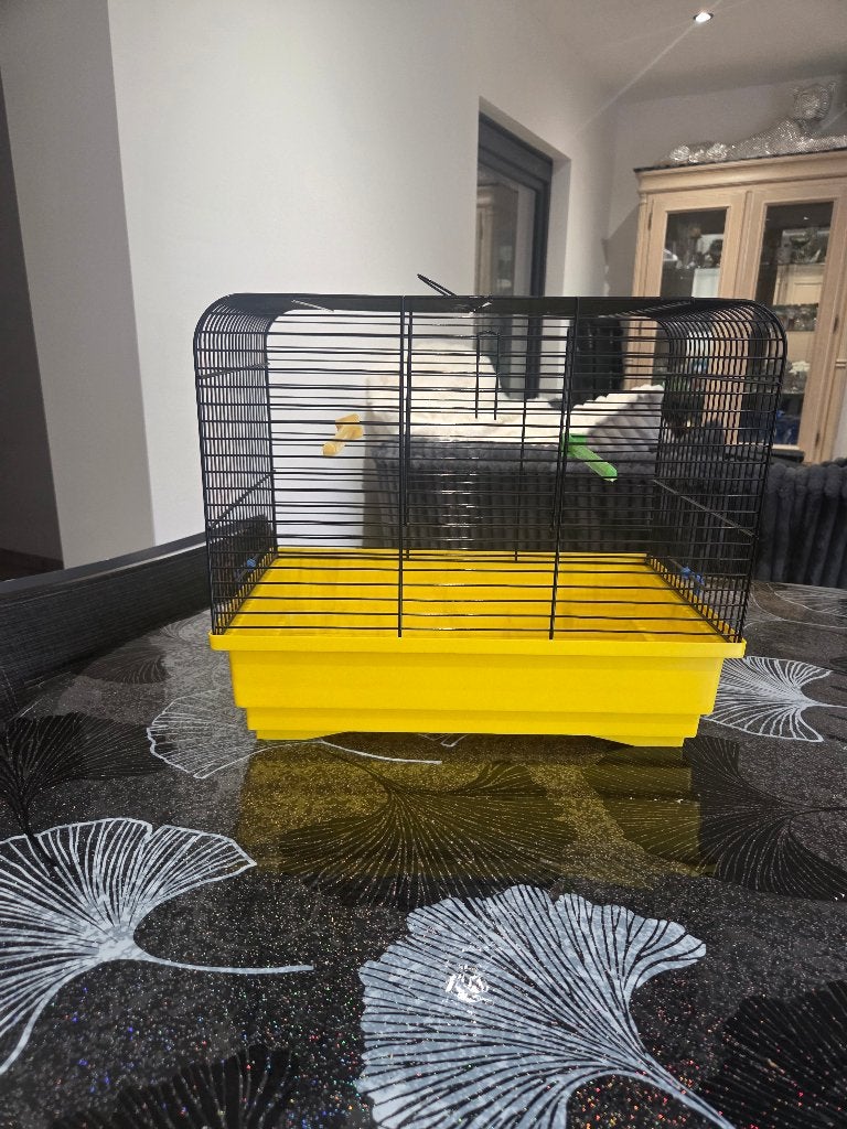 Cage de transport pour oiseau, Animaux & Accessoires, Enlèvement, Comme neuf
