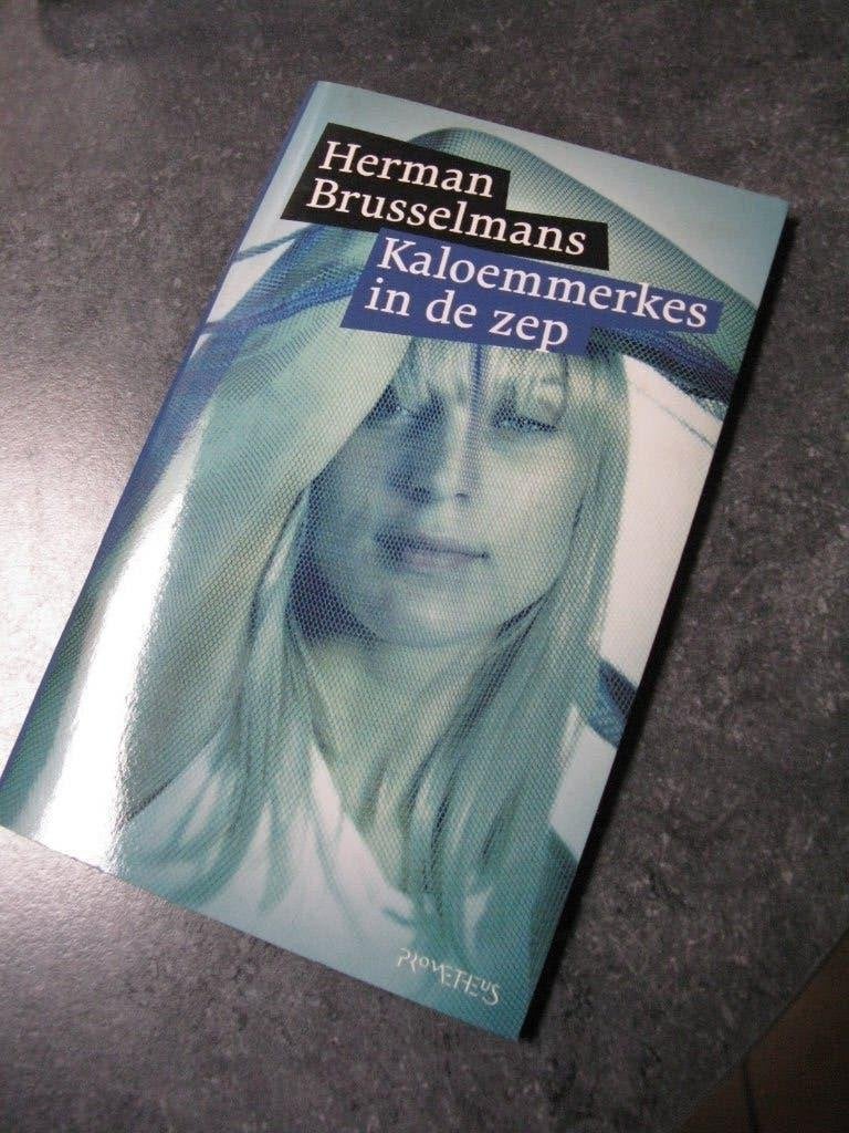 literatuur : boeken Herman Brusselmans, Livres, Littérature, Neuf, Enlèvement ou Envoi