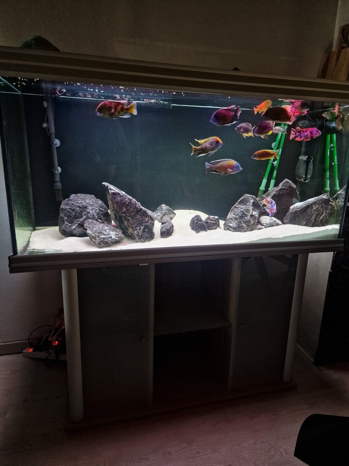 Compleet aquarium, Dieren en Toebehoren, Ophalen, Gebruikt, Inclusief deksel, Aquatlantis