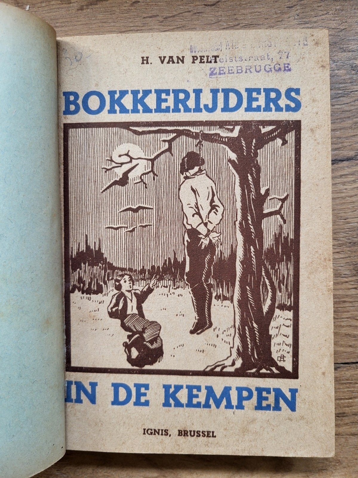 H. Van Pelt - Bokkenrijders in de Kempen, Boeken, Ophalen of Verzenden, Gelezen