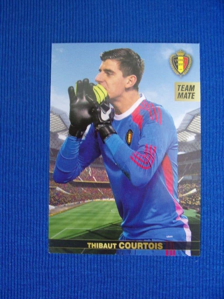 Panini Tousensemble - Thibaut Courtois, Enlèvement ou Envoi, Neuf, Sport