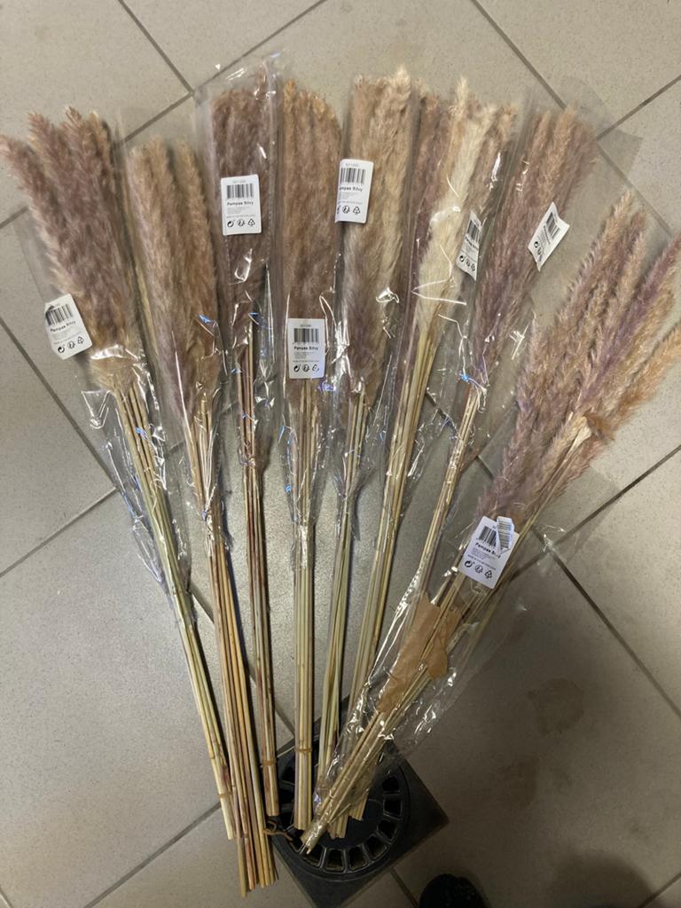 Set gedroogde bloemen, Huis en Inrichting, Woonaccessoires | Droogbloemen, Ophalen of Verzenden, Zo goed als nieuw