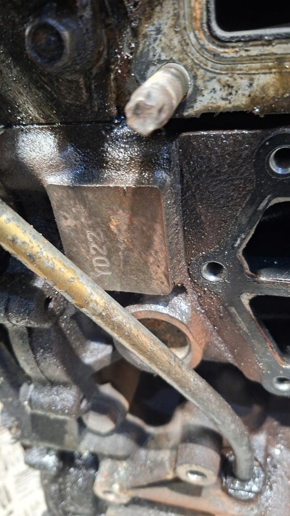 Moteur YD22DDTi Nu ALMERA NISSAN X-TRAIL, Envoi, Utilisé, Daihatsu