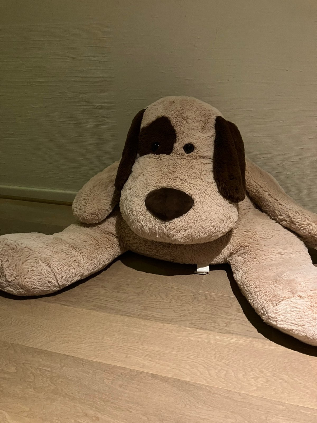Grote zachte knuffelhond 135 cm, Ophalen, Gebruikt, Hond, Beige