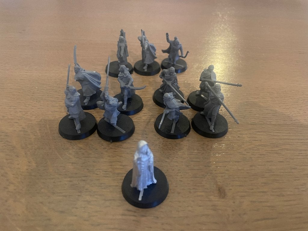 LOTR MESBG Wood Elves Warriors + Galadriel, Hobby en Vrije tijd, Wargaming, Ophalen of Verzenden, Gebruikt, Lord of the Rings