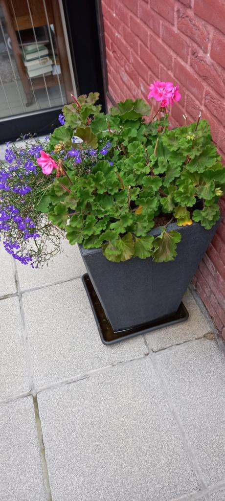 Hoge bloembakken, Tuin en Terras, Ophalen