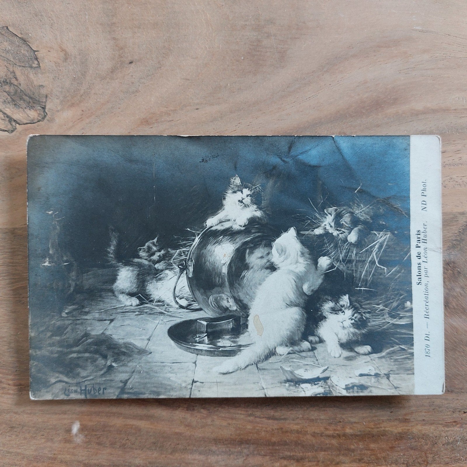 Oude postkaart: Salons de Paris, Ophalen of Verzenden