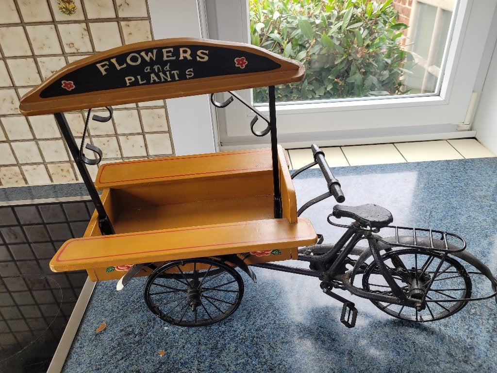 FIETS-TRICYCLE decoratie voor planten of andere., Huis en Inrichting, Woonaccessoires | Kunstplanten en Kunstbloemen, Binnen, Bruin