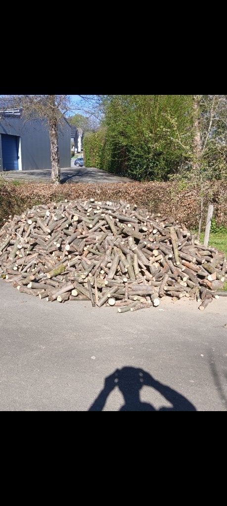 Bois de chauffage, 6 m³ ou plus, Enlèvement, Hêtre, Branches