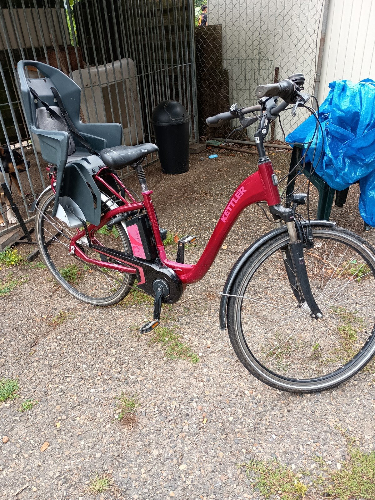 elektrische fiets, Fietsen en Brommers, Fietsen | Dames | Moederfietsen, Ophalen