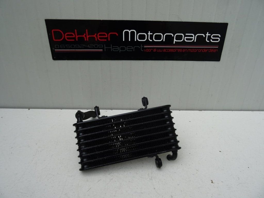 Oliekoeler / Oelkuehler Aprilia RST1000 Futura 2001-2004, Motos, Pièces | Autre, Utilisé, Enlèvement ou Envoi