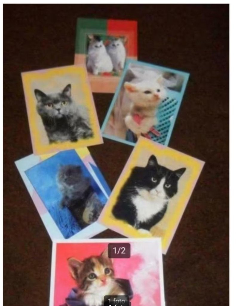 6 poezen postkaarten  dieren katten postkaarten, Ophalen of Verzenden