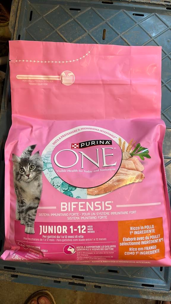 Purina een junior, Ophalen, Kat