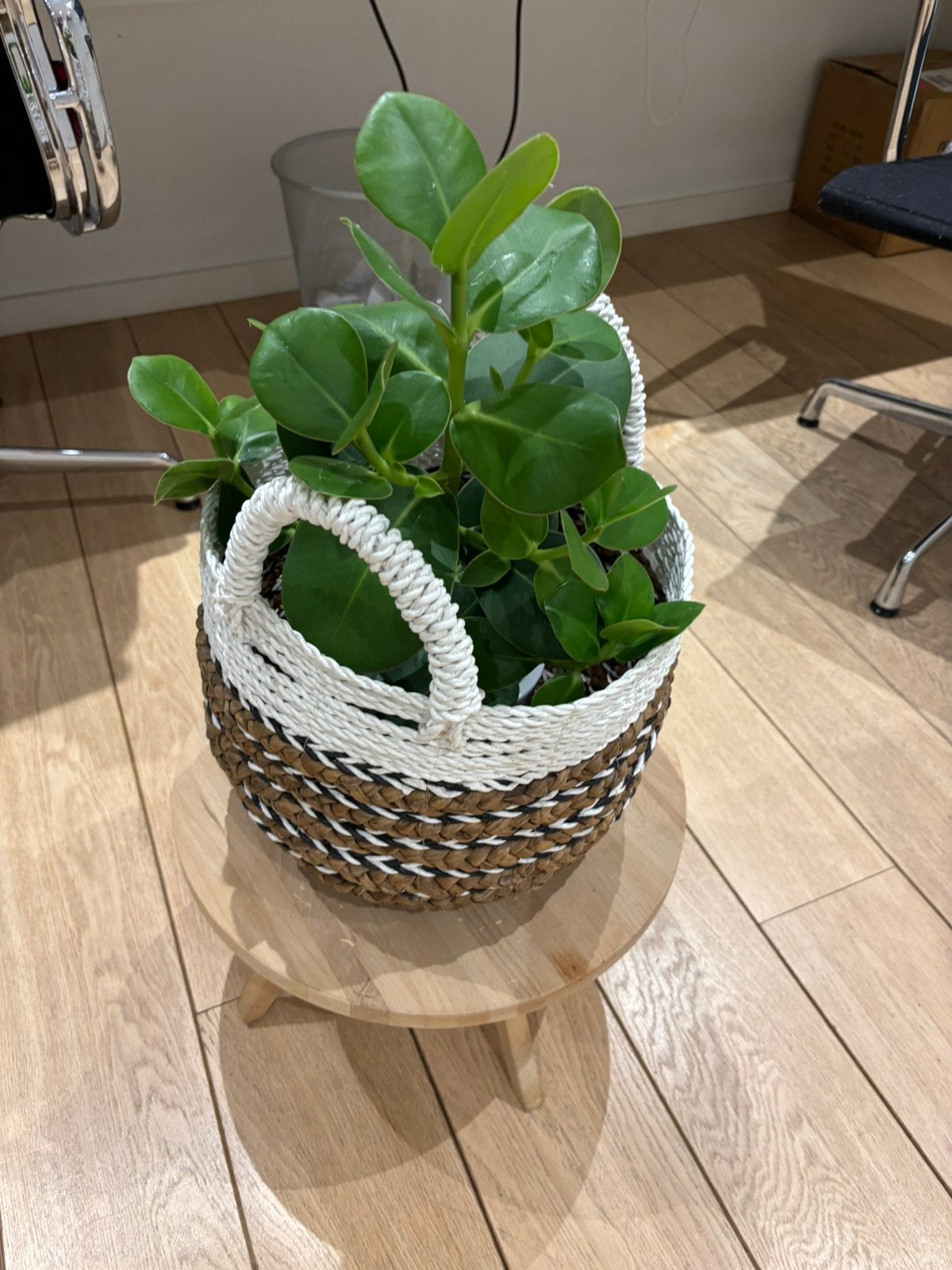 Decoratieve set – houten tafeltje + gevlochten mand, Ophalen, Zo goed als nieuw, Rond, Hout