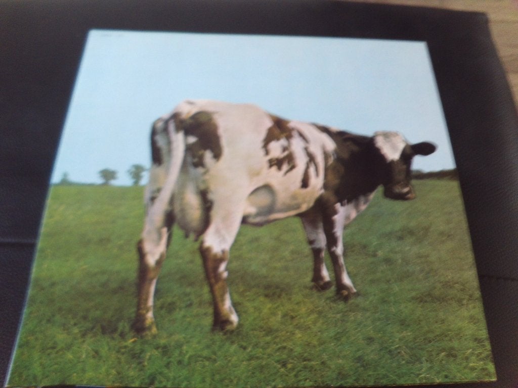 Mère Atom Heart de Pink Floyd, LP, Enlèvement ou Envoi, Autres formats, Comme neuf