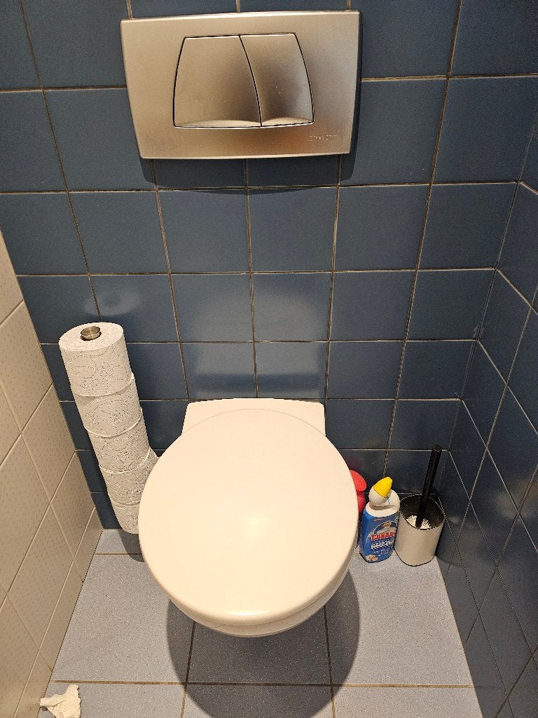 Toilet zelf uit te breken, Enlèvement, Utilisé