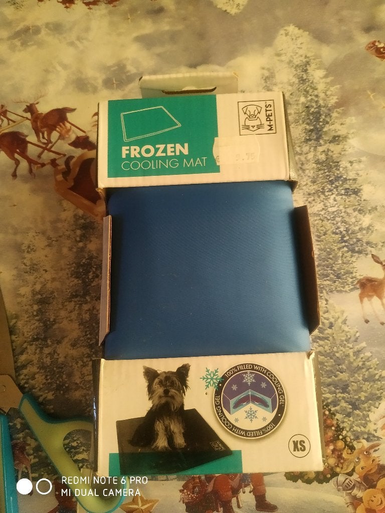 Pour Petit chien ou chat tapis fraîcheur acheter ce matin, Enlèvement, Neuf