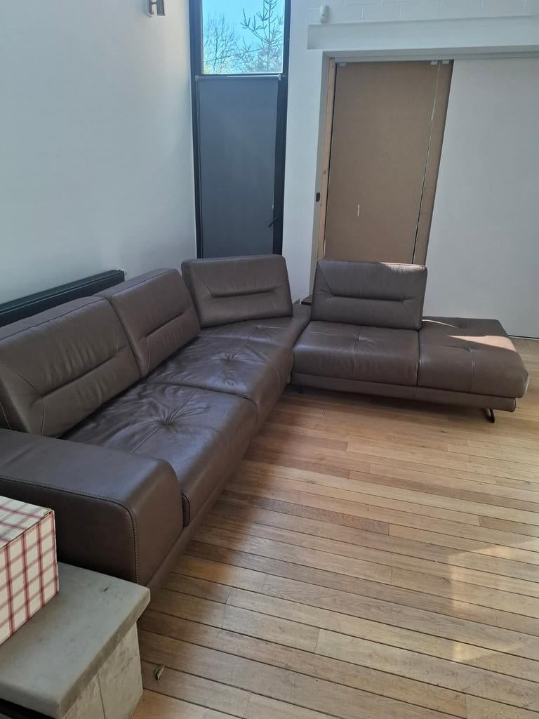 Salon, Cuir