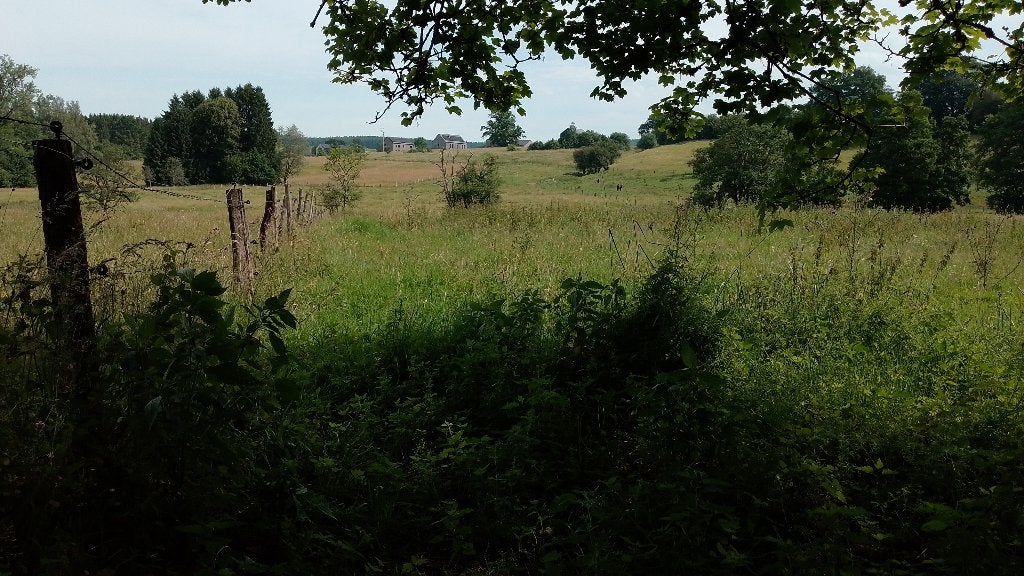 Pature à Saint-Hubert, Saint-Hubert LORCY, 1500 m² ou plus