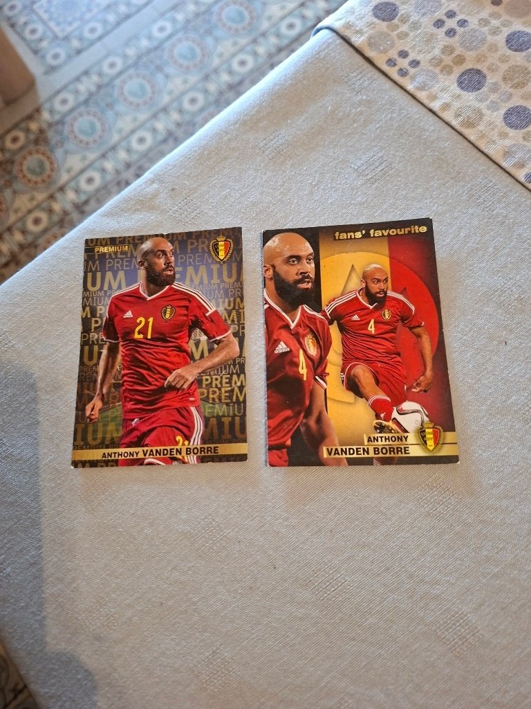 Panini / 2 Voetbalkaarten /Anthony Vanden Borre/Rode Duivels, Verzamelen, Sportartikelen en Voetbal, Ophalen of Verzenden, Zo goed als nieuw