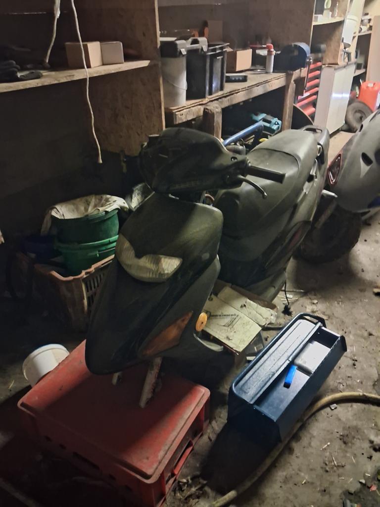 Honda sfx, Autres modèles, 1 vitesses, Enlèvement, Utilisé