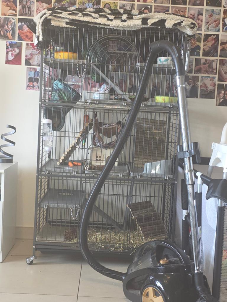 Cage tiaki villa 1m50 + 7 huskyratten, Dieren en Toebehoren, Zo goed als nieuw, Overige typen