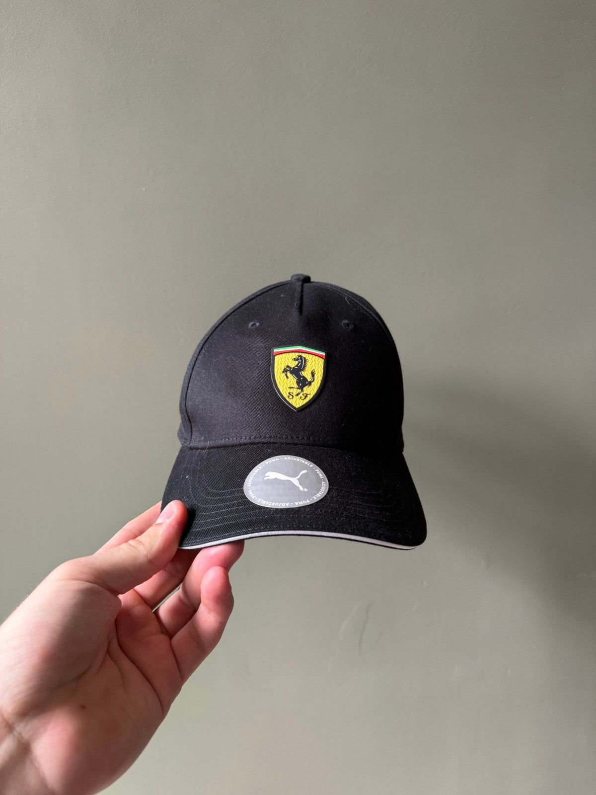 Ferrari pet, Ophalen of Verzenden, Zo goed als nieuw, One size fits all, Pet