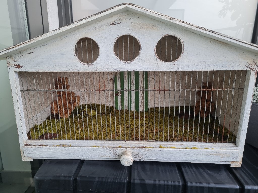 Hok voor dwergkonijn of hamster., Dieren en Toebehoren, Gebruikt, Minder dan 75 cm, Hok, Cavia