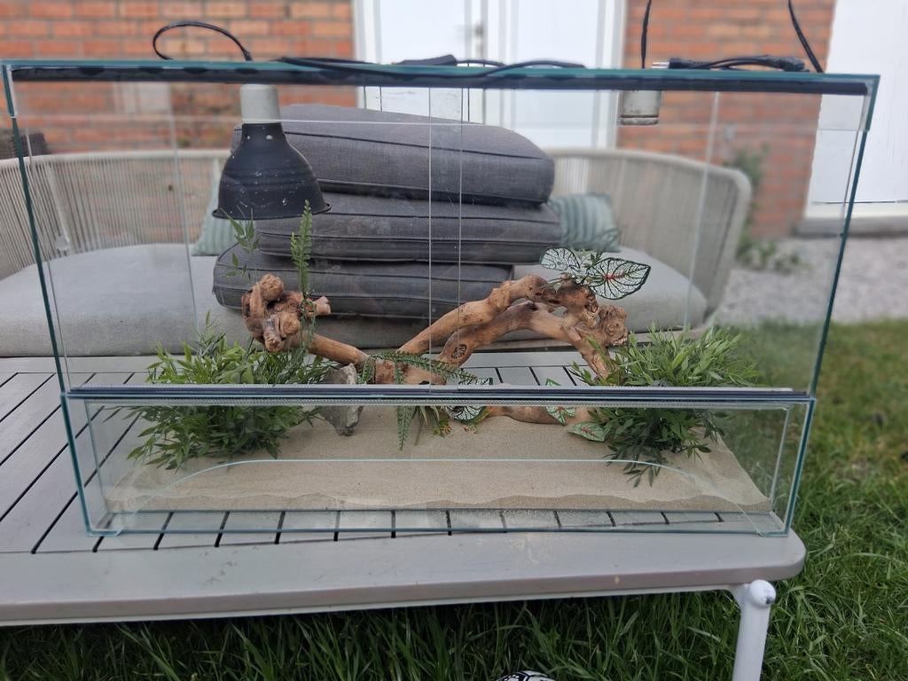 Terrarium, Dieren en Toebehoren, Ophalen