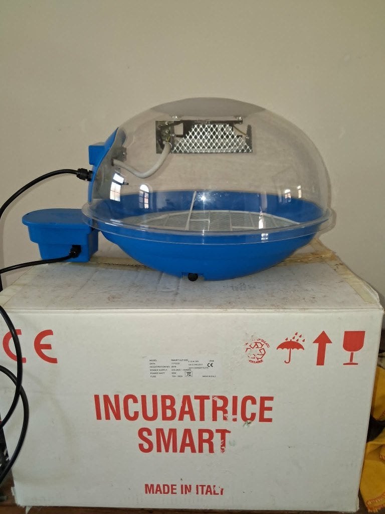 Couveuse incubatrice Fiem smart digital, Animaux & Accessoires, Enlèvement, Couveuse