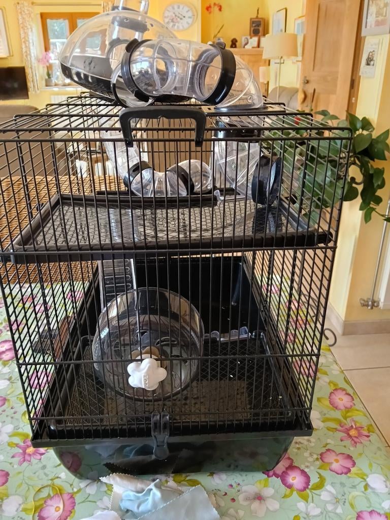 Cage hamster souris..., Enlèvement, Cage, Souris