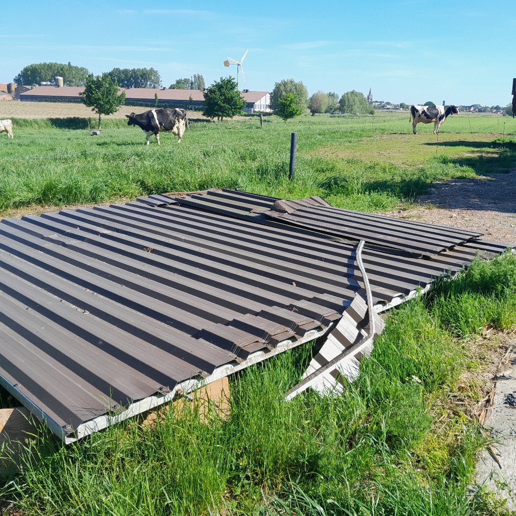 Stalpoorten, Enlèvement, Élevage laitier