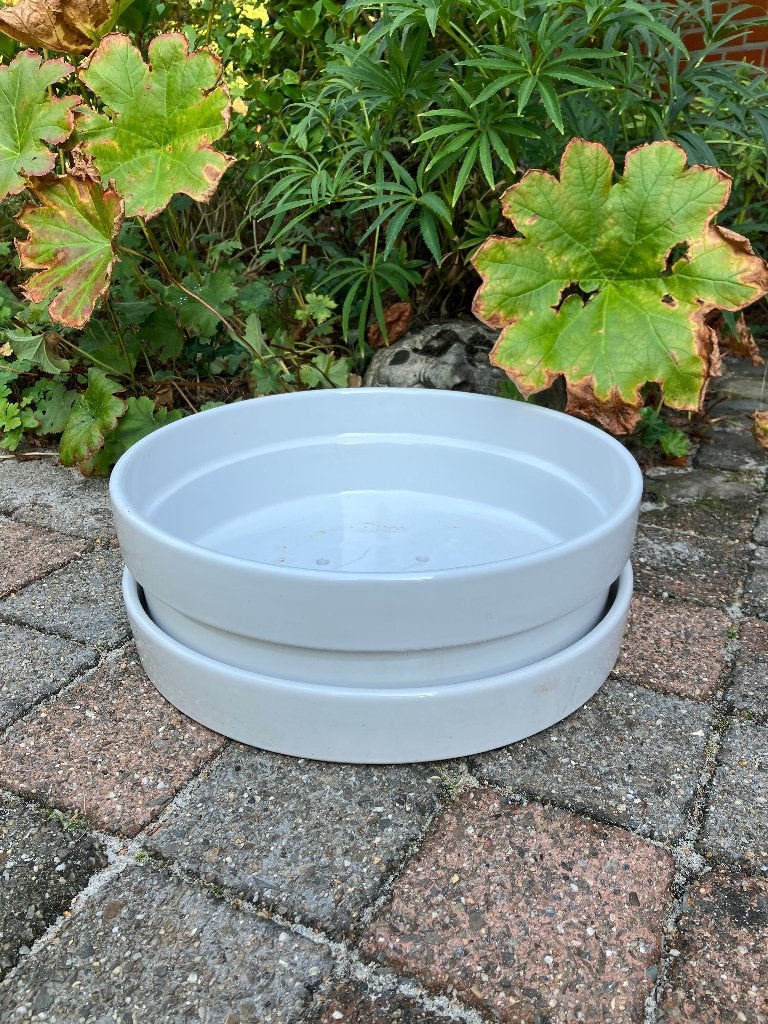 2 delige bonsai schotel pot, Jardin & Terrasse, Pots de fleurs, Enlèvement