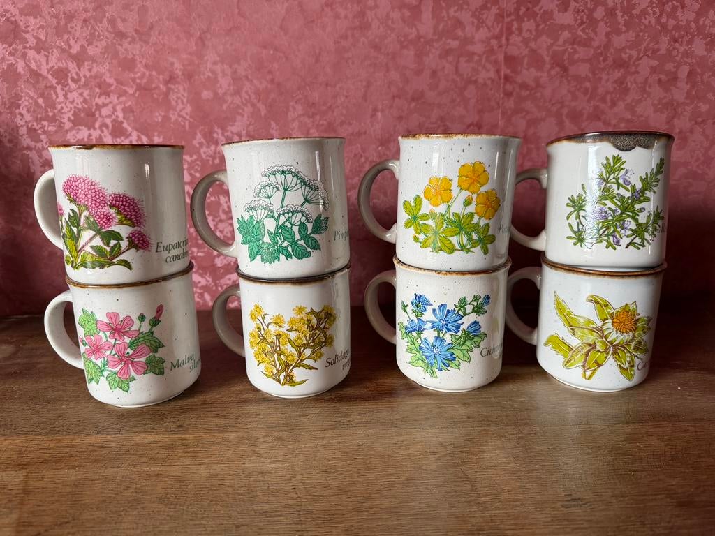 Mug - 8 tasses - Collection BECEL, Ophalen, Zo goed als nieuw