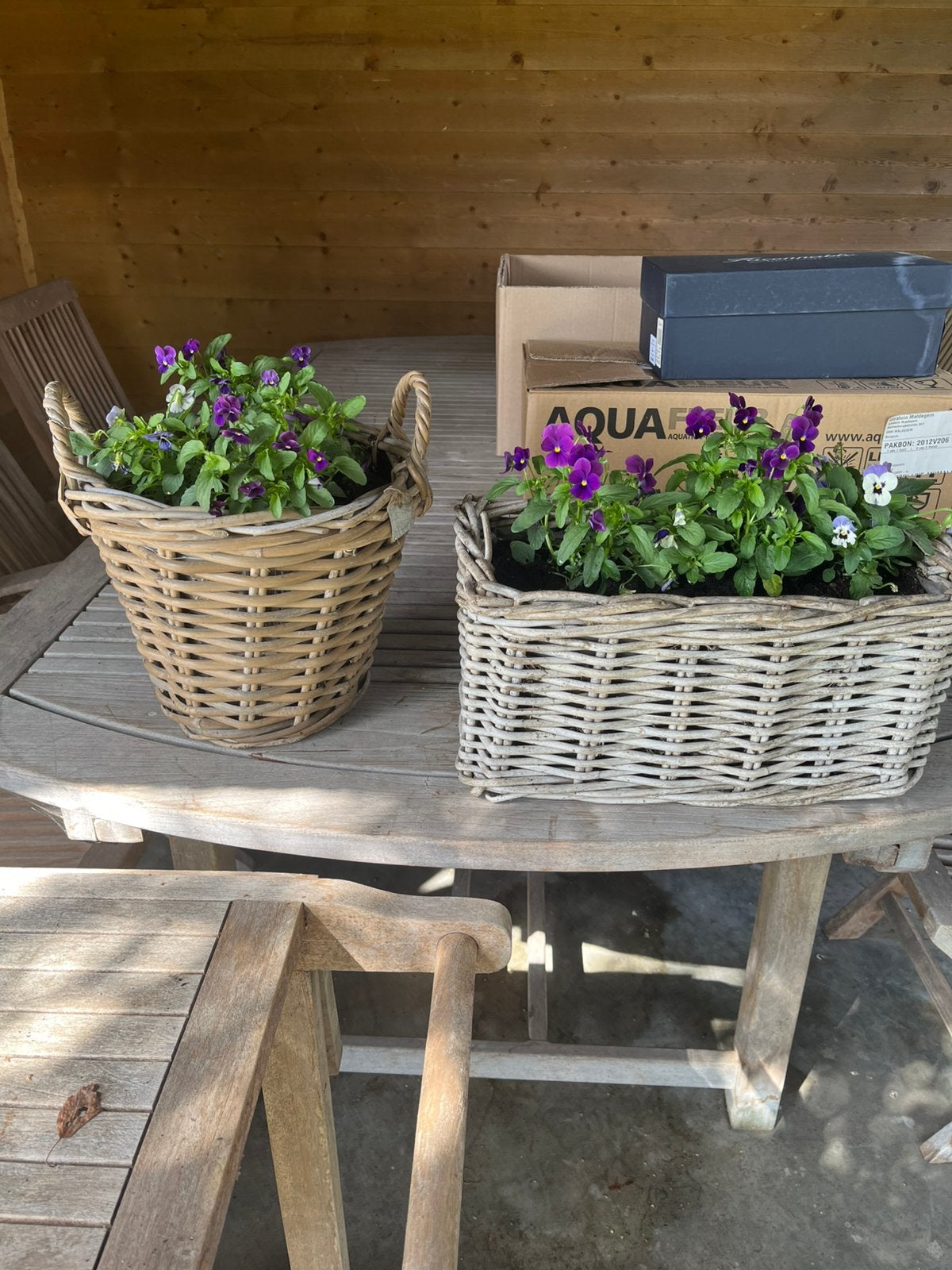 Panier en osier avec violettes d'hiver, Enlèvement, Comme neuf