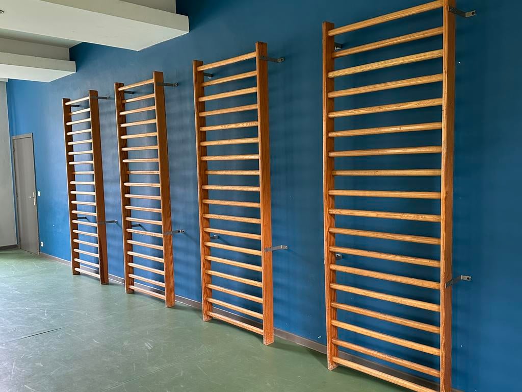 4 sportramen/ klimrekken (vraagprijs 200€ per stuk), Sports & Fitness, Gymnastique, Enlèvement, Utilisé