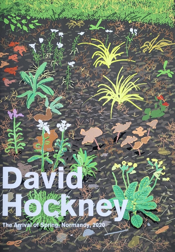 David Hockney (1937-2026) - The arrival of Spring, Antiek en Kunst, Kunst | Litho's en Zeefdrukken, Verzenden