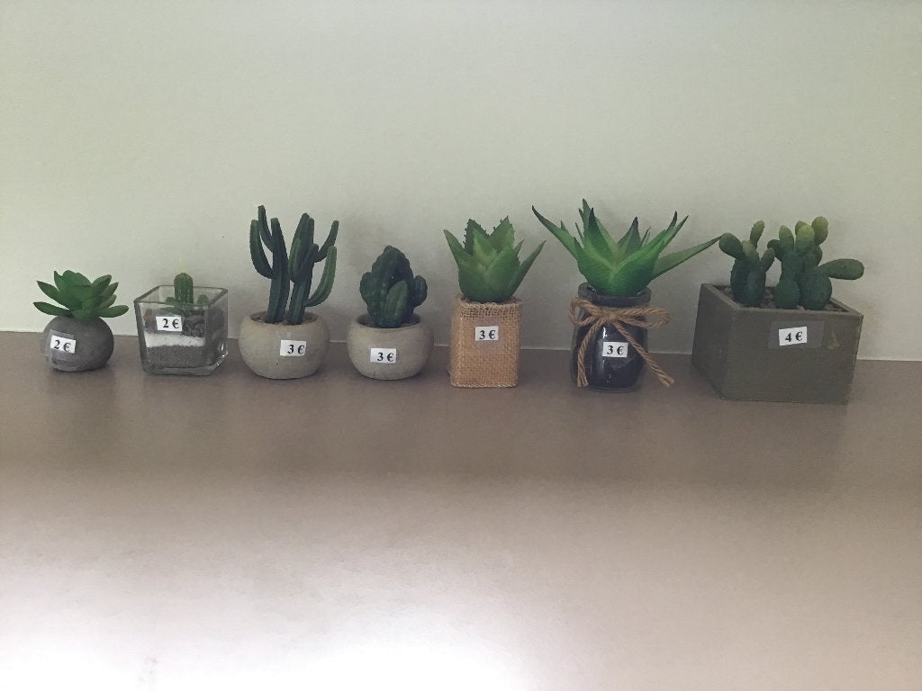 Plantes artificielles - Succulentes en pot 7 pièces, Plastique, Enlèvement ou Envoi, Comme neuf